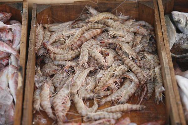 POISSONNERIE YDIER Poissonnerie Les Sables Olonne Fruit De Mer