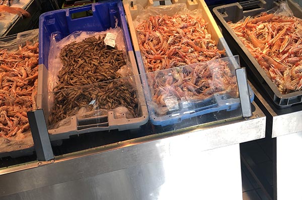 POISSONNERIE YDIER Poissonnerie Les Sables Olonne Plat
