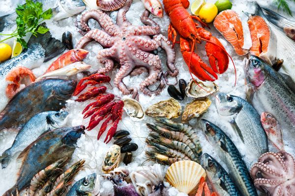 POISSONNERIE YDIER Poissonnerie Les Sables Olonne Produits Frais