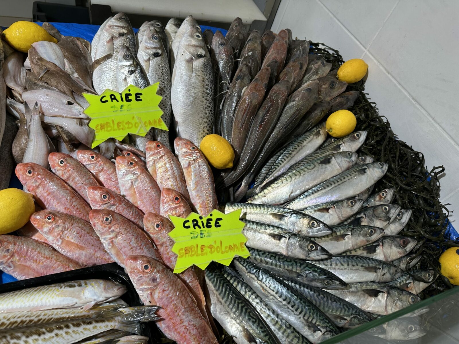 Poissonnerie Ydier Poissonnerie Les Sables D Olonne Galerie 1